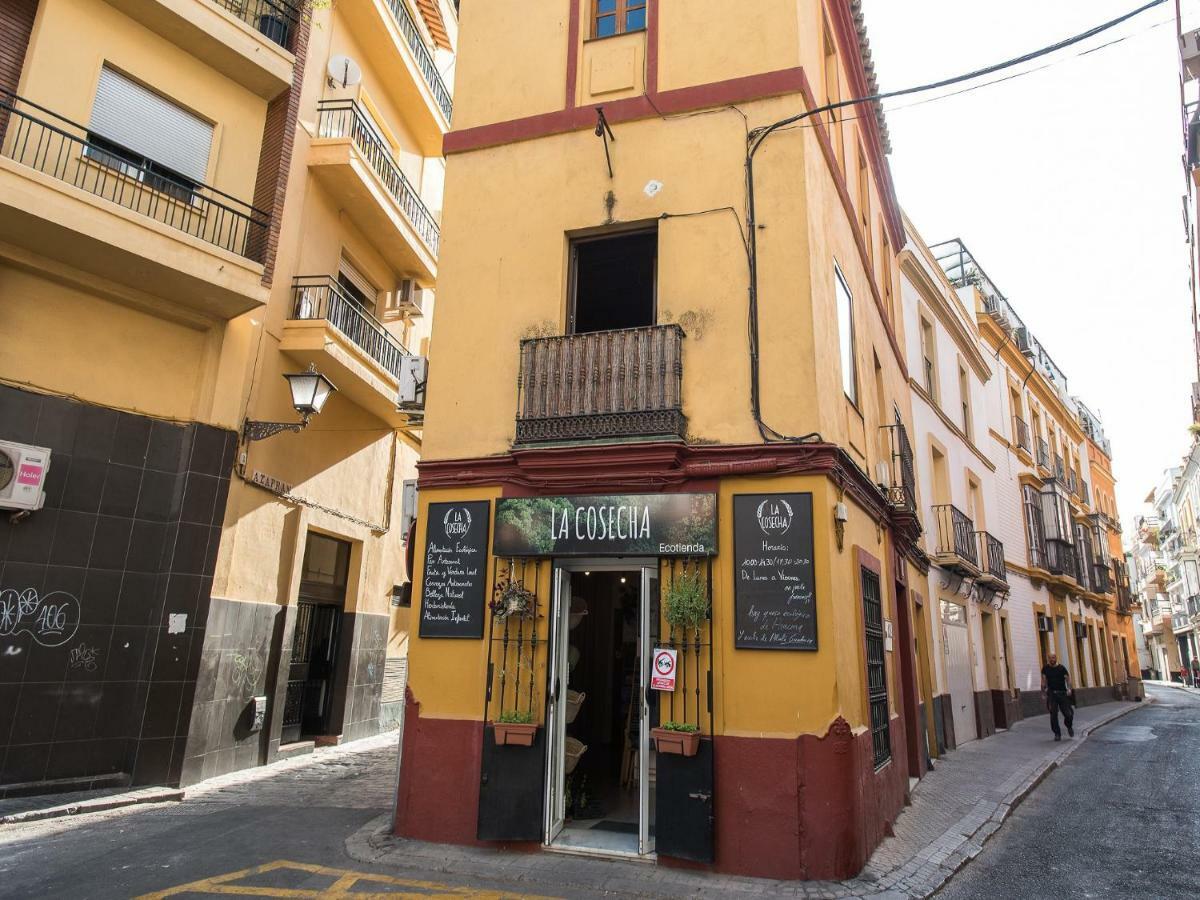 Divi Apartaments Centro Sevilla מראה חיצוני תמונה